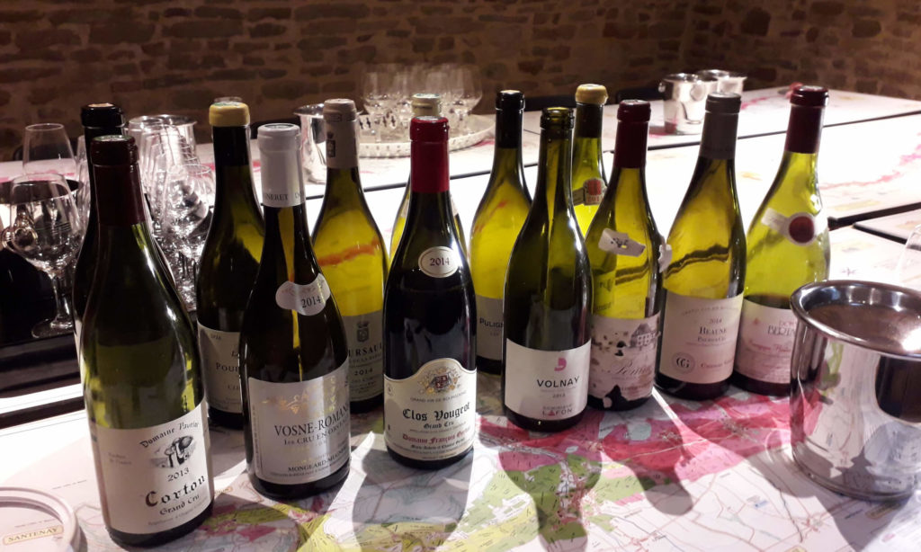 Flaschenbilder von degustierten  Weinen, wie sie auch bei Weinproben, Seminare & Co. von sensationWein im Format "Gemischter Satz" vorkommen können.