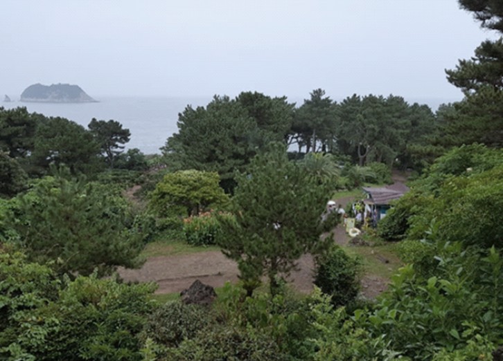 Die Steilküste Jeju-Dos am Oedolgae mit einem kleinen Café, zeitwweise mein Arbeitsplatz in Seogwipo