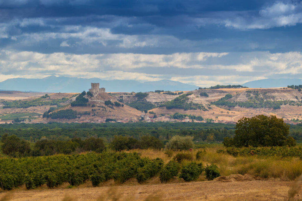 Herbstlandschaft in Ribera del Duero, Heimat des Condado de Haza Crianza 2016