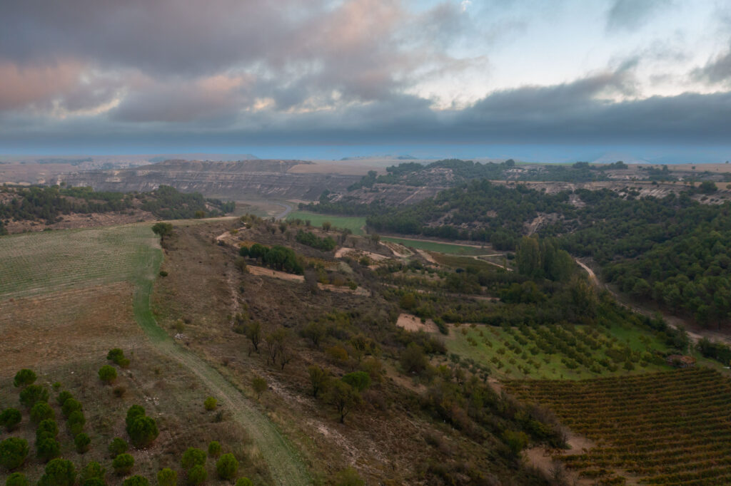 Landschaftsaufnahme des Anbaugebietes Ribera del Duero. Laut Sarah Jane Evans die prestigeträchtigste aber auch umstrittenste DOP in Kastilien und Léon.