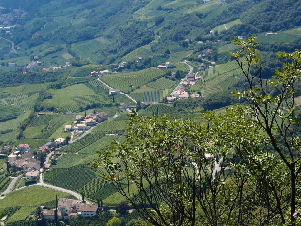 Das Hochplateau von Gaun mit seinem atemberaubenden Blick auf die Weinberge des Dorfes Kurtatsch