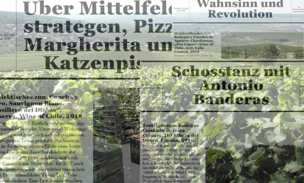 Einige meiner Artikel als transparente Bildausschnitte vor Weinberge in der Champagne als Hintergrund