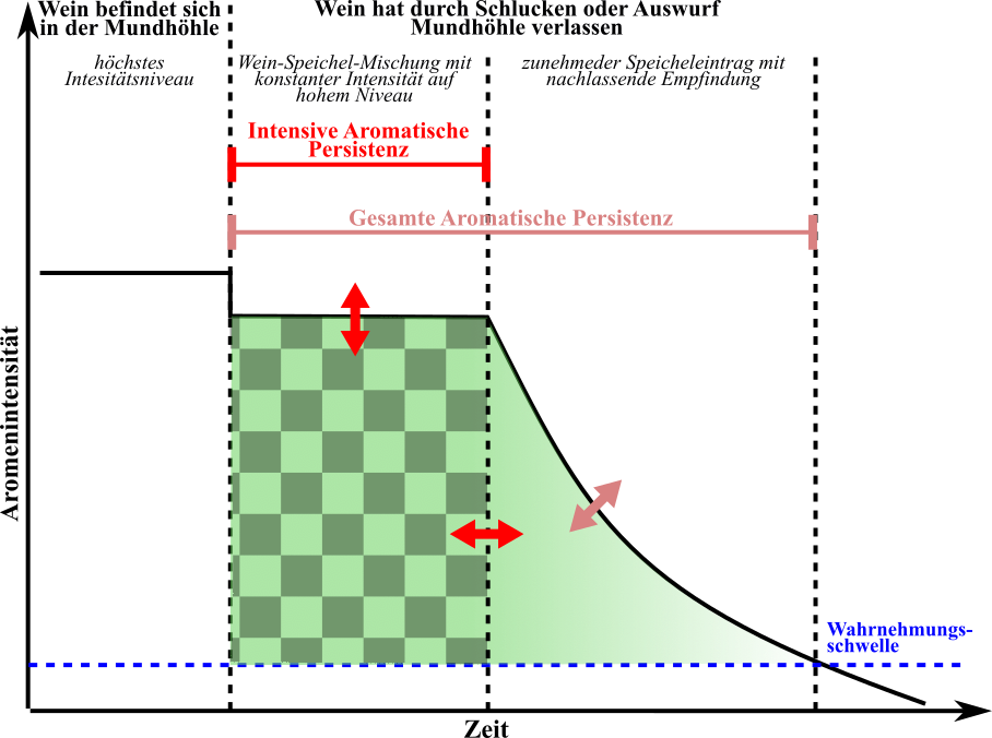 Diagramm der Veränderungen der aromatischen Intensität eines Weines nach Jean-Claude Buffin in Anlehnung an André Védel.