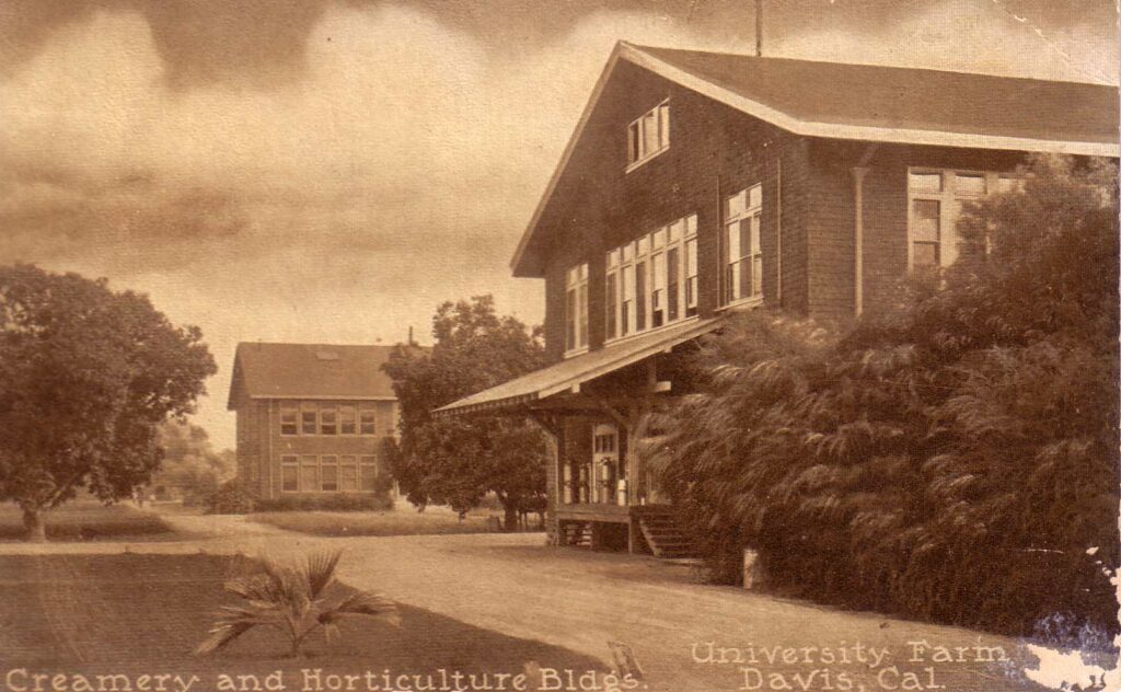 Molkerei und Gartenbaugebäude der University Farm Davis in Kalifornien um 1910. 1935 wurde hier das heute berühmte Department of Viticulture and Enology angesiedelt.