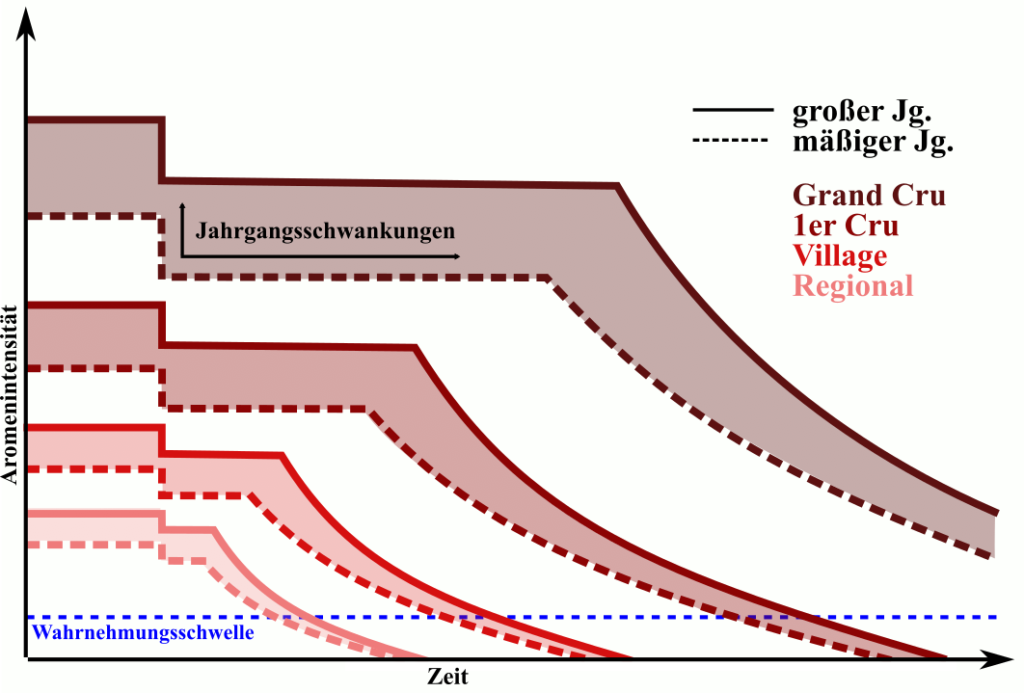 Diagramm der aromatischen Intensität unterschiedlicher Weine aus der Bourgogne nach Jean-Claude Buffin in Anlehnung an André Védel.