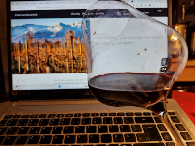 Der Viña Don Melchor, D.O. Puente Alto, Valle del Maipo, 2019 im Glas