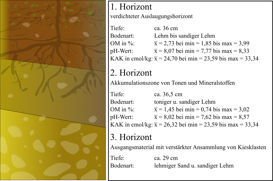 Beispielhaftes Bodenprofil des Don Melchor-Weingartens in Puetne Alto